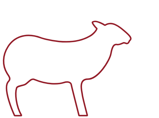 goat-sheep-header-removebg-preview