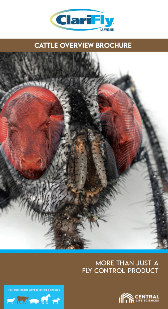 Cattle Overview Brochure