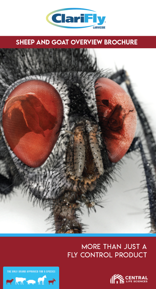 Goat_Sheep Brochure