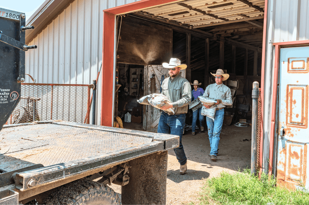 Not Too Late to Feed (1)