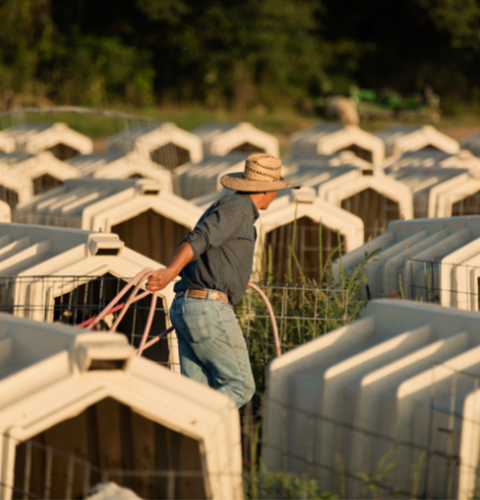 rotate-hutches