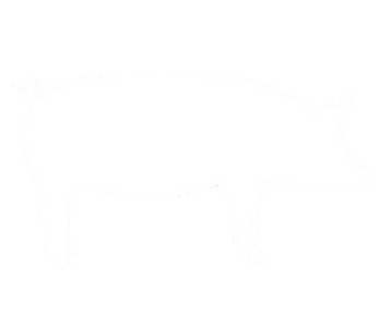 swine-hero-removebg-preview